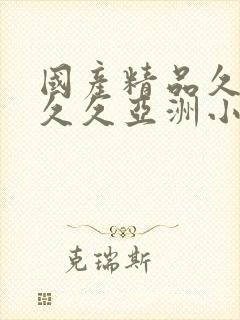 国产精品久久久久久亚洲小说