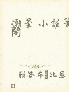 潮晕 小说笔趣阁