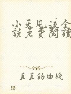 小天风流全集小说免费阅读