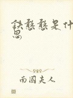 铁憨憨是什么意思