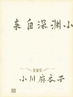 来自深渊小说