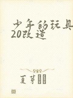 少年的玩具1一20改造