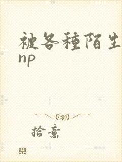 被各种陌生人 np