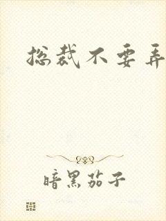 总裁不要弄疼我