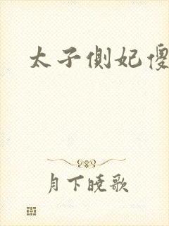 太子侧妃傻乎乎