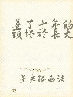 养了十年的小丫头终于长大了