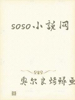 soso小说网