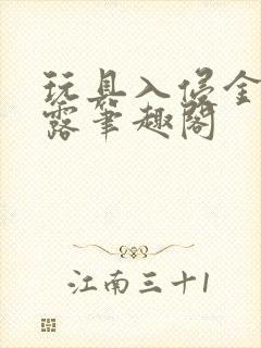 玩具入侵金银花露笔趣阁