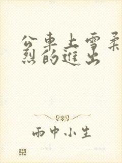 公车上雪柔被猛烈的进出