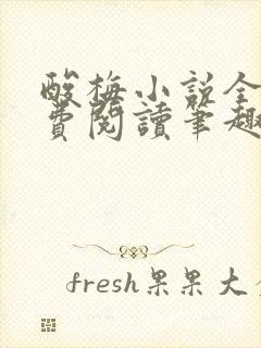 酸梅小说全文免费阅读笔趣阁