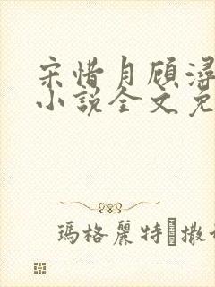 宋惜月顾浔渊的小说全文免费阅读