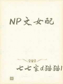 NP文女配