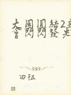 大团圆结2亲情会闪闪发光亲情会2