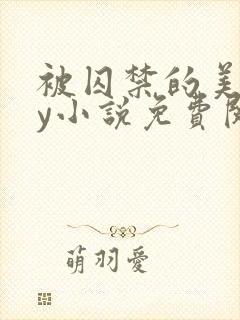 被囚禁的美人by小说免费阅读