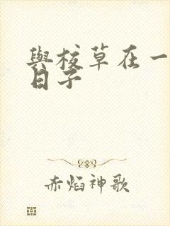 与校草在一起的日子