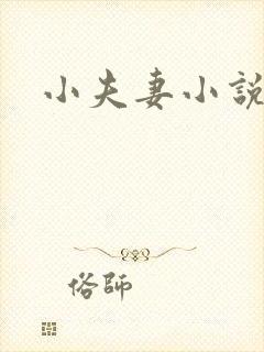 小夫妻小说