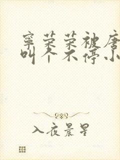 宁荣荣被唐三桶叫个不停小说