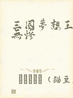 三国梦想王元姬无惨