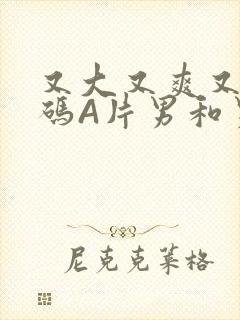 又大又爽又黄无码A片男和男