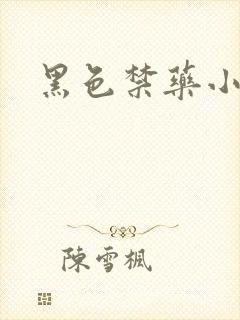 黑色禁药小说