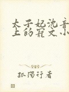 太子妃沈音和皇上的宠文小说