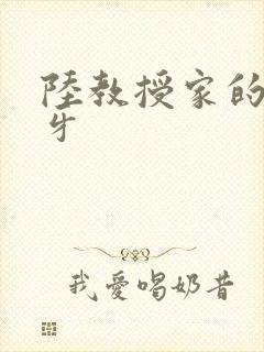 陆教授家的小月牙