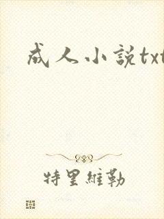 成人小说txt