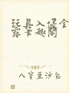 玩具入侵金银花露笔趣阁