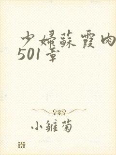 少妇苏霞肉欲第501章