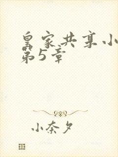 皇家共享小公主第5章
