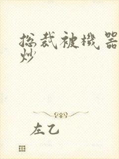 总裁被机器人爆炒