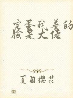 完蛋我养的小白脸是大佬