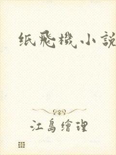 纸飞机小说