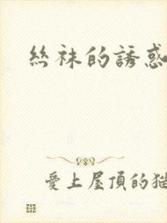 丝袜的诱惑小说