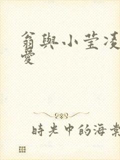 翁与小莹凌晨欢爱