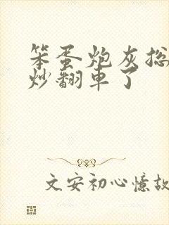 笨蛋炮灰总被爆炒翻车了