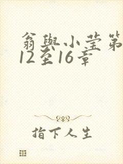 翁与小莹第十部12至16章