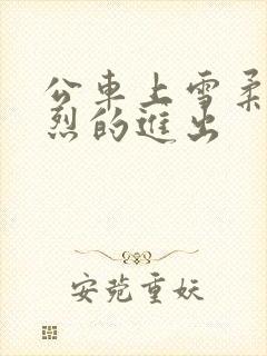 公车上雪柔被猛烈的进出