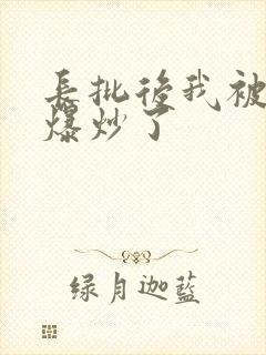 长批后我被宿敌爆炒了