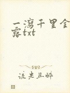 一泻千里金银花露txt