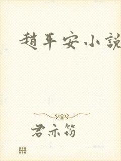 赵平安小说主角