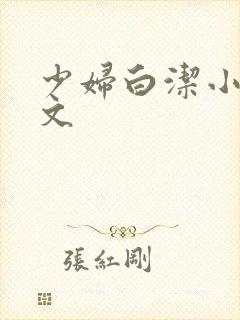 少妇白洁小说全文