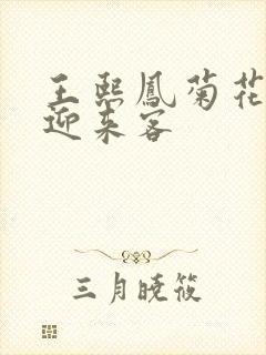 王熙凤菊花门初迎来客