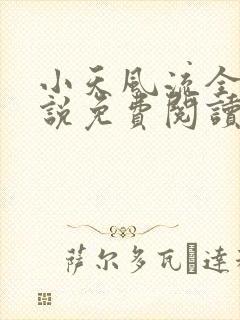 小天风流全集小说免费阅读