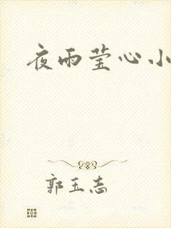 夜雨莹心小说