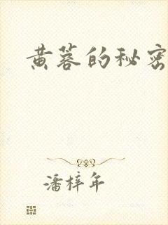 黄蓉的秘密