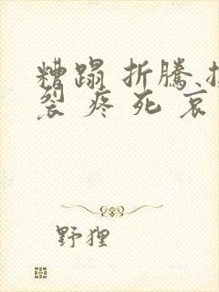 糟蹋 折腾 撕裂 疼 死 哀求