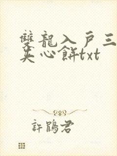 双龙入户三人行夹心饼txt