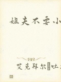 姐夫不要小说