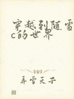 穿越到随处可以c的世界